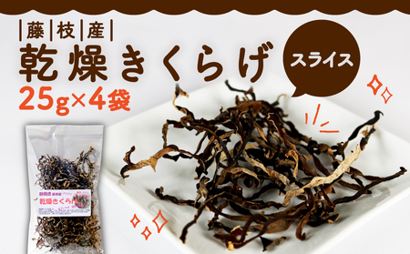 きくらげ 乾燥 スライス 25g×4袋  乾燥きくらげ