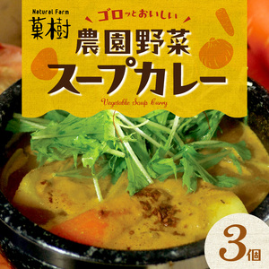 【ナチュラルファーム菓樹】農園野菜スープカレー 3個セット _NK0106
