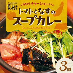 【ナチュラルファーム菓樹】トマトとなすのスープカレー 3個セット _NK0506