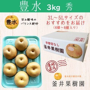 豊水 3kg 6～8玉 | 栃木県産 宇都宮市 梨 なし 豊水 フルーツ 果物 旬 産地直送 ※2026年8月～発送