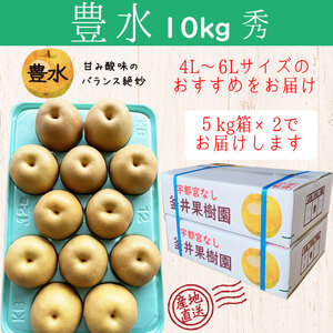 豊水 10kg 18～24玉 | 栃木県産 宇都宮市 梨 なし 豊水 フルーツ 果物 旬 産地直送 ※2026年8月～発送