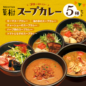 【ナチュラルファーム菓樹】スープカレー 5種セット _NK0906