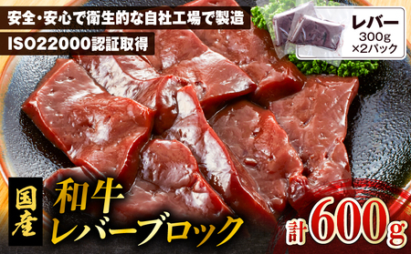 和牛レバーブロック600g（300g×2パック） K002-040 肉 牛肉 冷凍