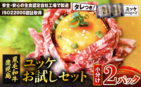 鹿児島県産黒毛和牛ユッケ 2Pお試しセット K002-037 肉 牛肉 冷凍