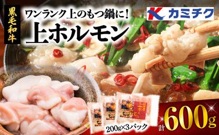 もつ鍋 ホルモン 小腸 600ｇ （200g×3パック） 【 上ホルモン ワンランク上のもつ鍋に！】 K002-004_01 肉 牛肉 冷凍