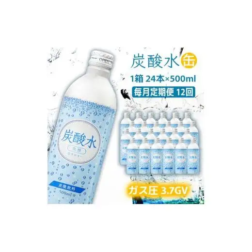 炭酸水 定期便 毎月 12回 500ml×24本 ソーダ
