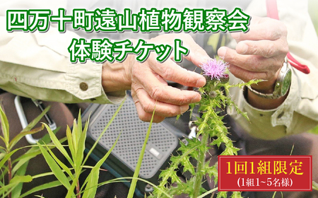 四万十町遠山植物観察会　体験チケット（1～5名様）／Mkk-33