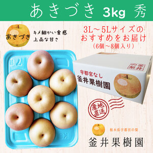 あきづき 3kg 6～8玉 | 栃木県産 宇都宮市 梨 なし あきづき フルーツ 果物 旬 産地直送 ※2026年9月～発送