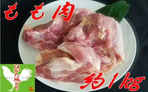 はかた地どり もも肉 (約1kg)【A5-263】