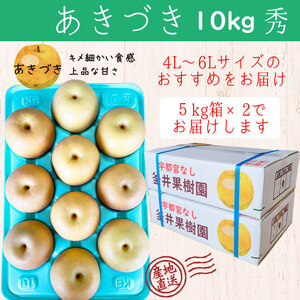 あきづき 10kg 18～24玉 | 栃木県産 宇都宮市 梨 なし あきづき フルーツ 果物 旬 産地直送 ※2026年9月～発送
