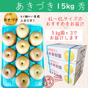 あきづき 15kg 27～36玉 | 栃木県産 宇都宮市 梨 なし あきづき フルーツ 果物 旬 産地直送 ※2026年9月～発送