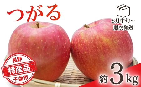 【2026年先行予約】りんご つがる 約3kg |りんご