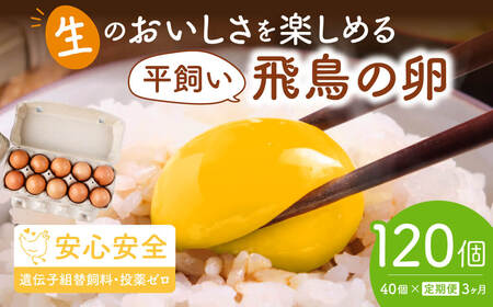 【3ヶ月定期便】 卵 飛鳥の卵 (10個×4箱) 風雅ファーム 45-003