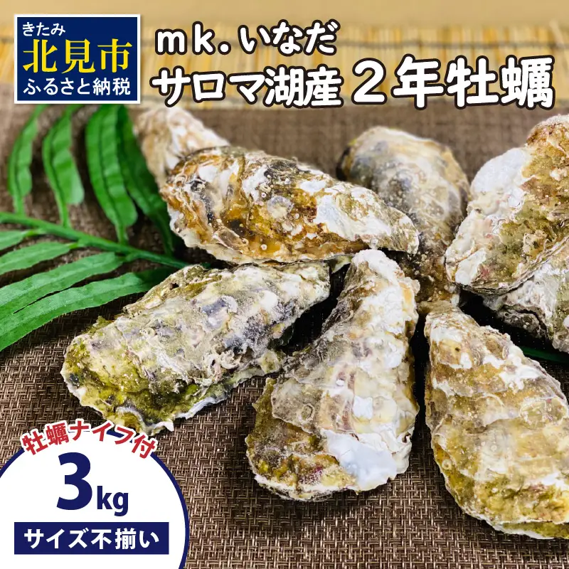 【予約：2026年10月下旬から順次発送】サロマ湖産 殻付き2年牡蠣 3kg サイズ不揃い ※牡蠣ナイフ付 ( カキ かき 3キロ 魚介 海鮮 貝 ふるさと納税 BBQ バーベキュー )【113-0015-2026】