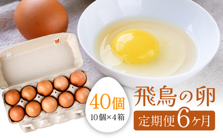 【6ヶ月定期便】　卵 飛鳥の卵 (10個×4箱) 風雅ファーム 90-001