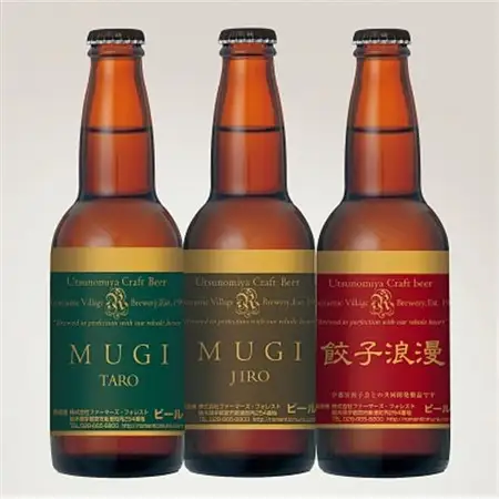 栃木の地ビール厳選3本セット【配送不可地域：離島】【1291462】