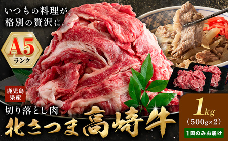 牛肉 鹿児島県産切り落とし肉 1kg(500g×2) 牛肉《30日以内に出荷予定(土日祝除く)》
