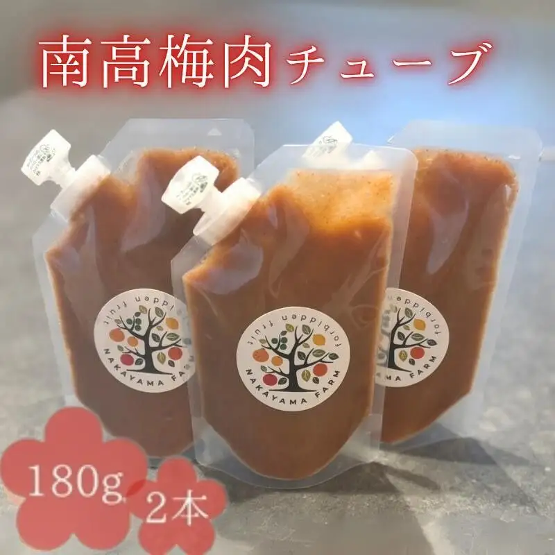 南高梅肉チューブ 180g×2 / ねり梅 練り梅 紀州南高梅 南高梅 梅肉 調味料 和歌山県 田辺市【nak045-1】