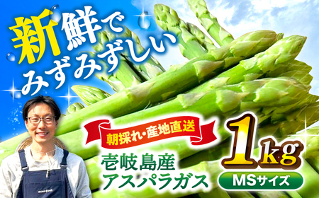 【アスパラガス専門農家が作る！】壱岐産アスパラガス1kg(MSサイズ)  ≪壱岐市≫【きたじま農園】国産 冷蔵配送 産地直送 朝採れ 新鮮 [JGI004]