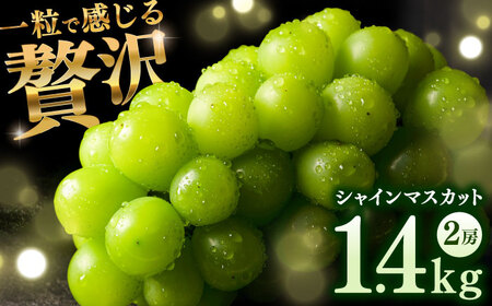 【2026年発送分 先行予約】シャインマスカット 計1.4kg（2房入り） / 佐賀県 / 石橋果樹園 [41AAAJ001]