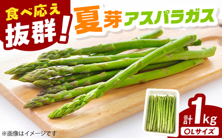 夏芽アスパラガス 計1kg（〇Lサイズ） / アスパラガス / 佐賀県 [41AABE104]