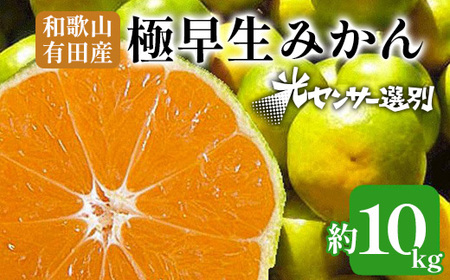 【先行予約】こだわりの極早生みかん 約10kg 農家直送 有機質肥料100% サイズ混合 ｜ みかん 極早生 早生 柑橘 果物 くだもの 果実 フルーツ 和歌山 有田