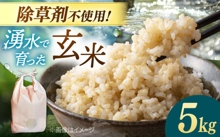玄米 5kg ノガミファーム[ADAU009] 米 玄米5キロ