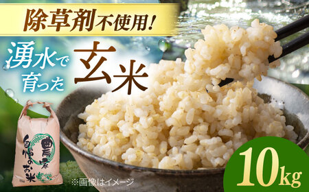 玄米 10kg [ADAU010] 玄米