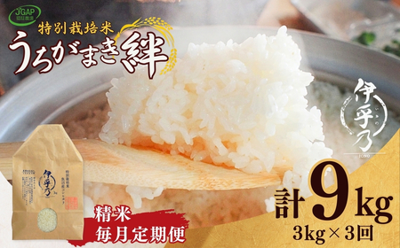 魚沼産コシヒカリ 特別栽培「伊乎乃」 3kg×3か月連続お届けうちがまき絆 | 9キロ 新潟県 魚沼 米