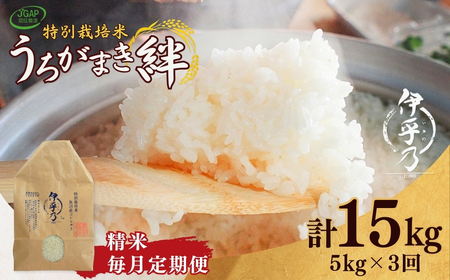 魚沼産コシヒカリ 特別栽培「伊乎乃」 5kg×3か月連続お届けうちがまき絆 | 15キロ 新潟県 魚沼 令和7年