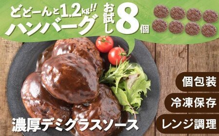 ZG146.累計４０万個突破記念！お試し1.2㎏!デミハンバーグ【150g×8個】【訳あり】【北海道・沖縄・離島へ配送不可】