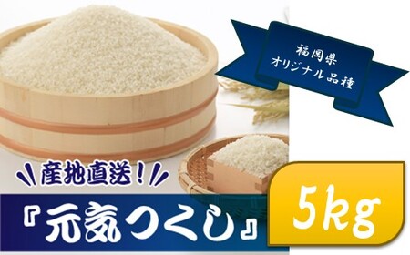 AB581.特Ａも獲得した自慢のお米『元気つくし』５ｋｇ【元気つくし】