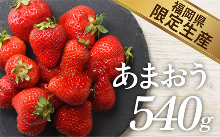 人気１位獲得謝礼品★限定品★あまおう約５４０g（先行受付／２０２７年２月以降発送）.ZH205【あまおう】