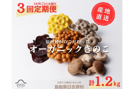 【3回定期便】オーガニックきのこ 5種 定期便