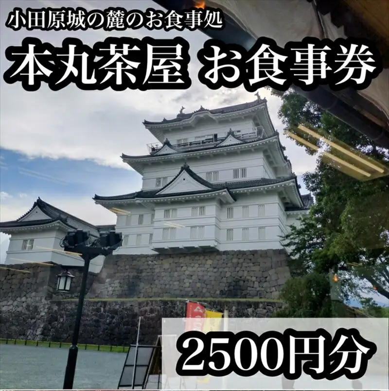 小田原城の麓のご飯屋さん　本丸茶屋御食事券 2500円分【 お食事券 神奈川県 小田原市 食事券】