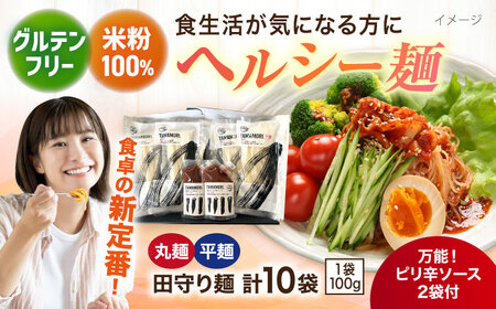 麺 グルテンフリー米粉100％麺 田守り麺2種・ピリ辛ソースセット  [AICU002] 