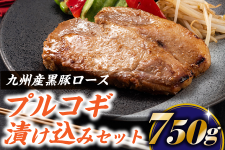A1449.九州産黒豚ロースプルコギ漬け込みセット（750g）