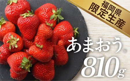 ZI368.人気№１獲得謝礼品★限定品★あまおう約８１０g（先行受付．２０２７年２月以降発送）