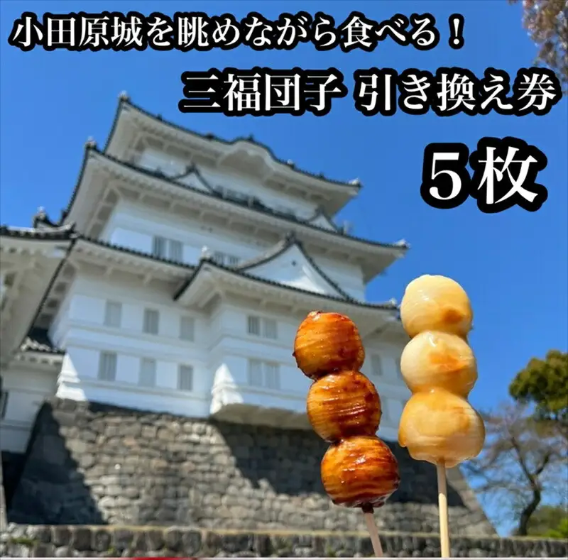 小田原城を眺めながら食べるお団子 三福団子引換券 5本分 くるみ味噌 みたらし団子【 引換券 神奈川県 小田原市 団子】