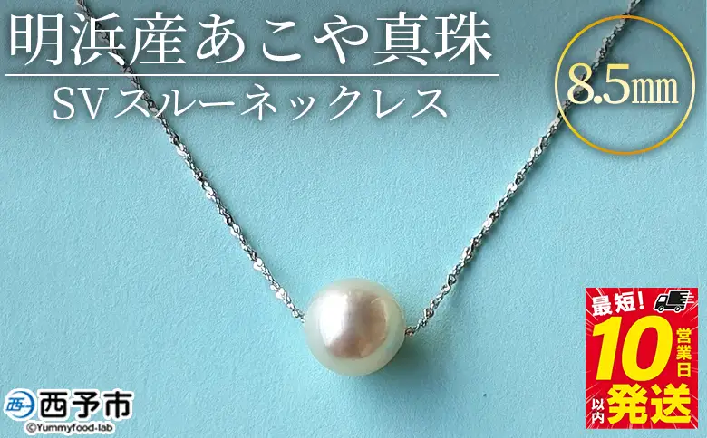 ＜明浜産あこや真珠8.5mm SVスルーネックレス＞『最短10営業日以内発送予定』アコヤ真珠 パール ジュエリー アクセサリー プレゼント ギフト 贈答 記念日 品質保証書付き シルバー ナチュラルカラー シンプル 45cm PRAY akoyapearl 愛媛県 西予市【常温】APR0009