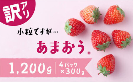 AB380.【訳あり.限定品】あまおう.小粒ですが約１２００g（先行受付．２０２７年２月以降発送）