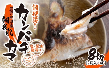1276 調理済み！ カンパチ カマ 塩 ・ 醤油麹（ こうじ ）漬け 8切（ 焼タイプ ） KN037-002-01 魚