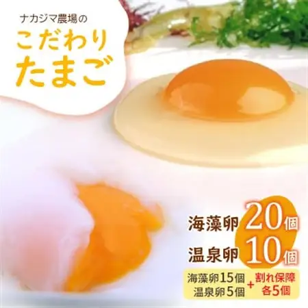 ナカジマ農場こだわりたまご「海藻卵」20個と温泉卵10個(海藻卵15個+温泉卵5個+割れ保障各5個)_卵・乳製品 卵  たまご タマゴ 玉子_【配送不可地域：離島】【1528300】