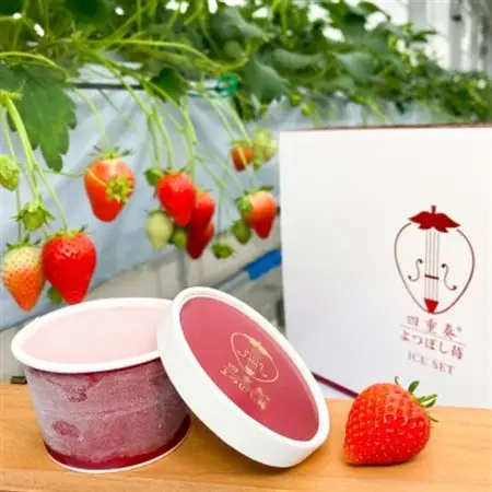 【産直】四重奏いちごアイス　よつぼし使用　愛知県みよし市　6個セット(各90ml)【配送不可地域：離島】【1507383】