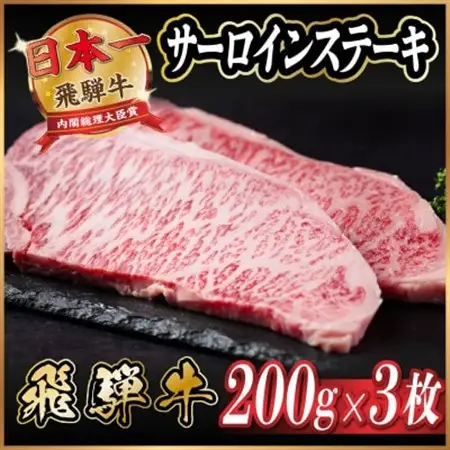 飛騨牛　サーロインステーキ約600g【冷蔵便】A4～A5等級_肉 ステーキ 牛肉 ビーフステーキ_【配送不可地域：離島】【1530716】