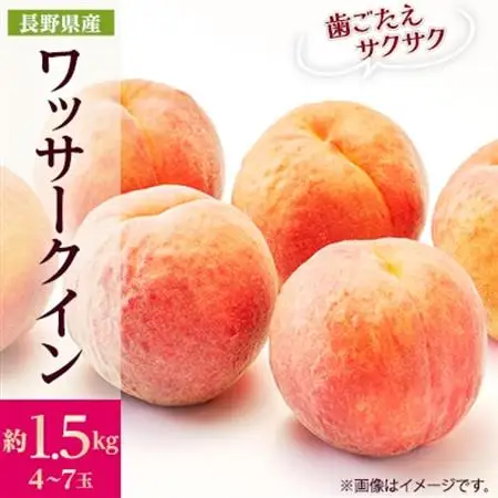 【2026年発送】フルーツ王国　長野県信州直送　ワッサークイン　約1.5kg(4～7玉)　【配送不可地域：離島】【1530500】