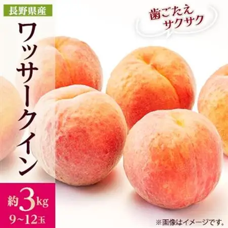【2026年発送】フルーツ王国　長野県信州直送　ワッサークイン　約3kg(9～12玉)【配送不可地域：離島】【1530502】