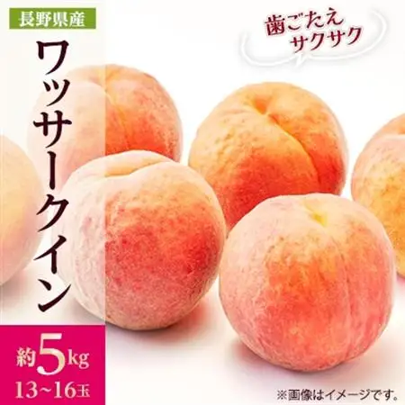 【2026年発送】フルーツ王国　長野県信州直送　ワッサークイン 約5kg(13～16玉)【配送不可地域：離島】【1530503】