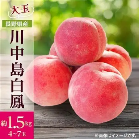 【2026年発送】フルーツ王国　長野県信州直送　桃　川中島白鳳　約1.5kg(4～7玉)【配送不可地域：離島】【1530522】
