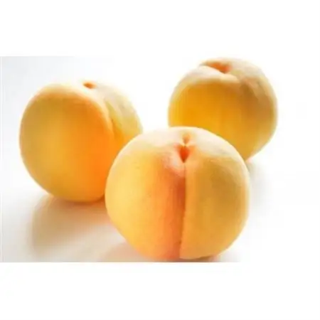 【2026年発送】フルーツ王国　長野県産　北信州　桃　滝の沢ゴールド　約1.5kg(4～7玉)【配送不可地域：離島】【1530533】